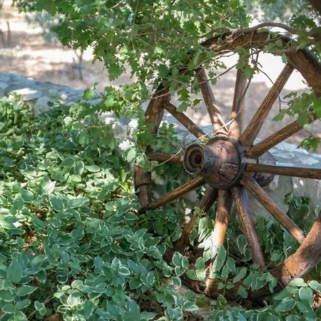 Zavala بيت للعطل *