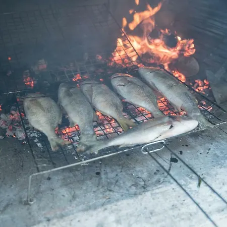 Zavala Nyaraló